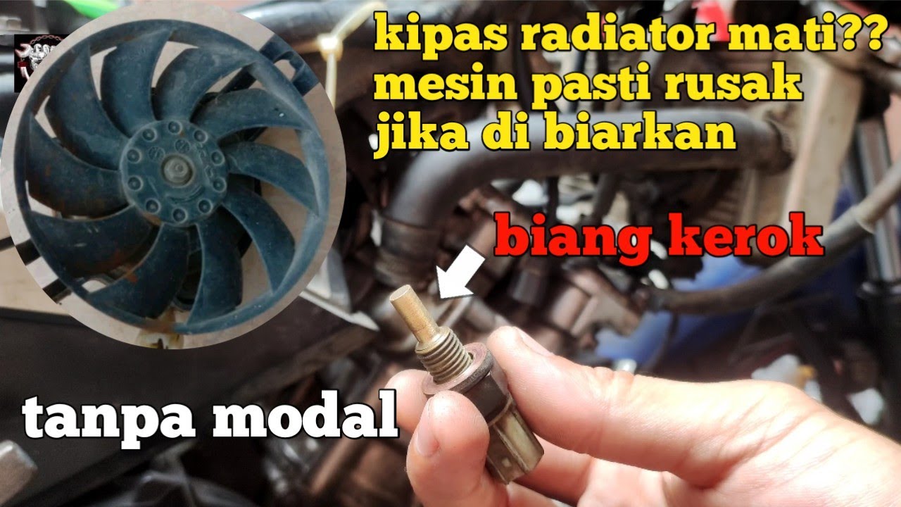 jangan spelekan kipas radiator mati / cara mengatasi kipas radiator jupiter mx king mati tanpa biaya