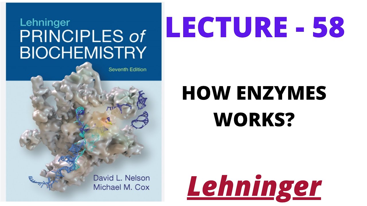 How enzymes work  || lecture - 58 || Lehninger|| Net jrf || IITJam