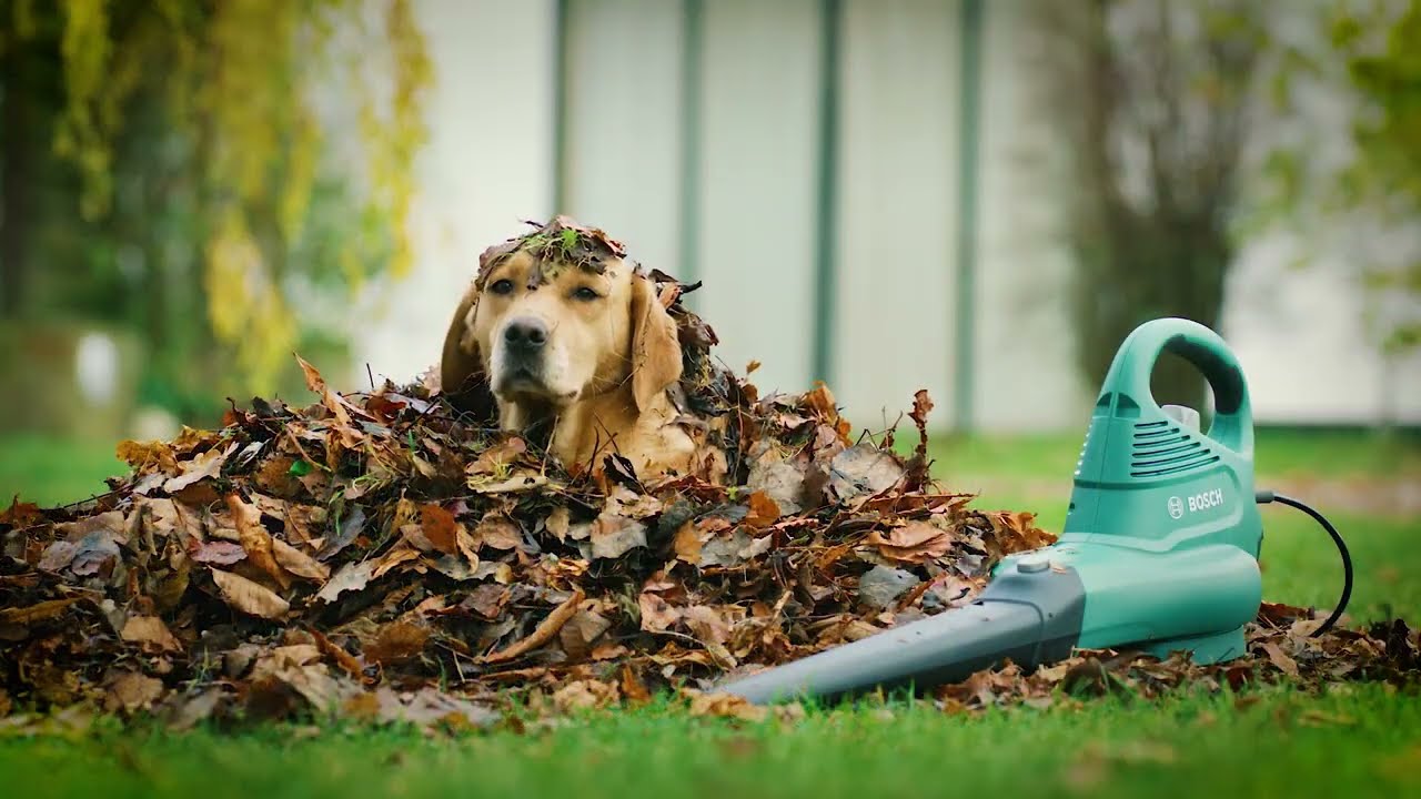 Bosch | Electric Leaf Blower & Vacuum | UniversalGardenTidy 3000