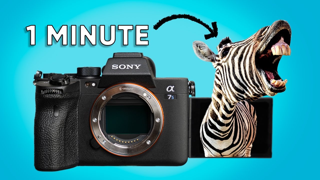 Как использовать зебр для экспозиции