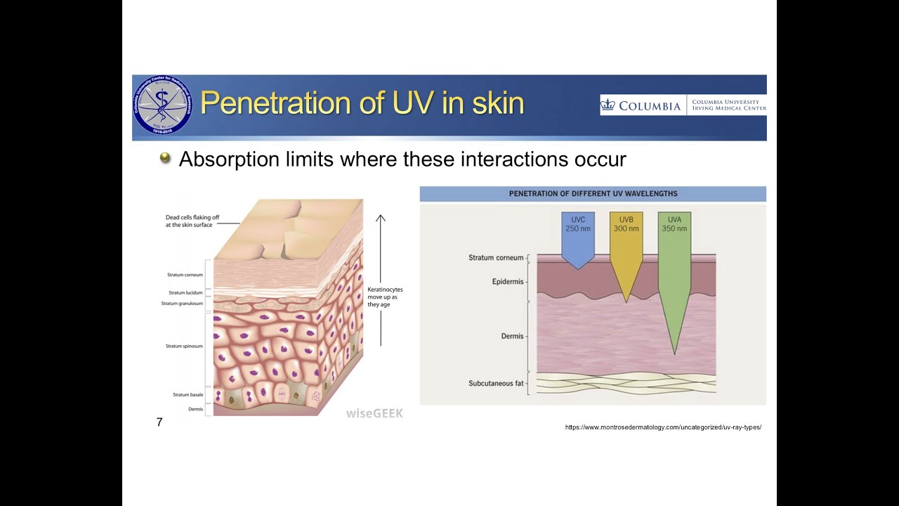 Ultraviolet light to limit the transmission of SARS-CoV-2 or other pathogens
