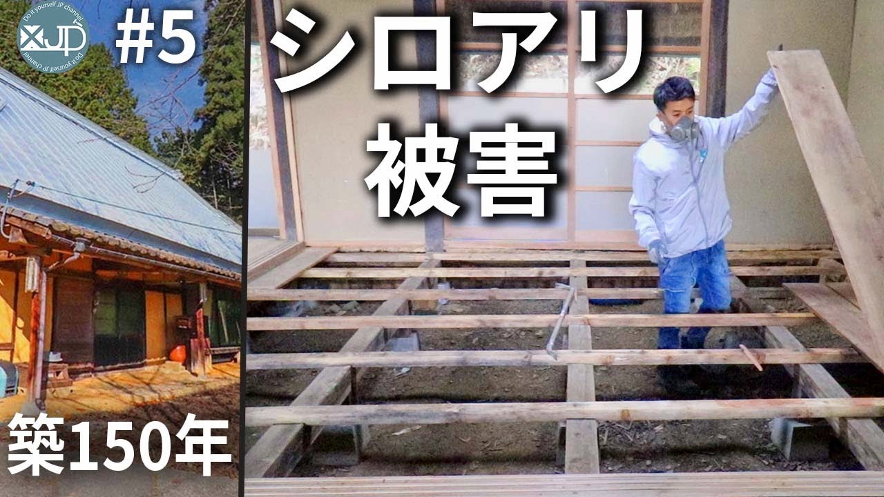 【古民家DIY #5】 床下はシロアリに食われて大変なことに・・・old house termites damage
