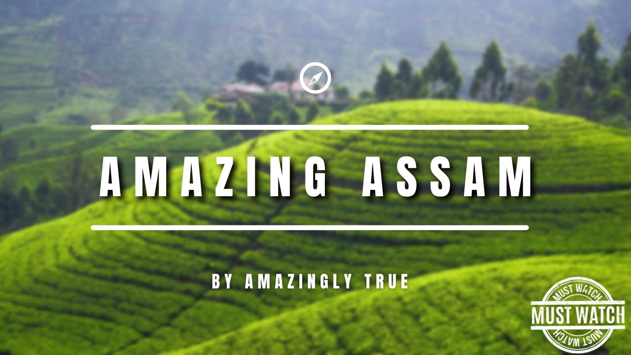 20+ Interesting Facts about the Beautiful Assam You Probably Didn't Heard | Northeast Assam
