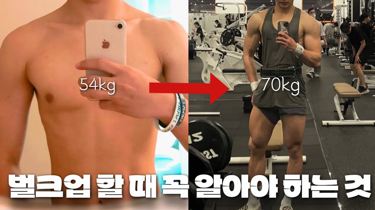 멸치에서 몸 예쁘게 키우는 현실적인 방법! (4분할, PT 트레이너 고르는 법, 벌크업 식단, 장 건강을 위한 습관)