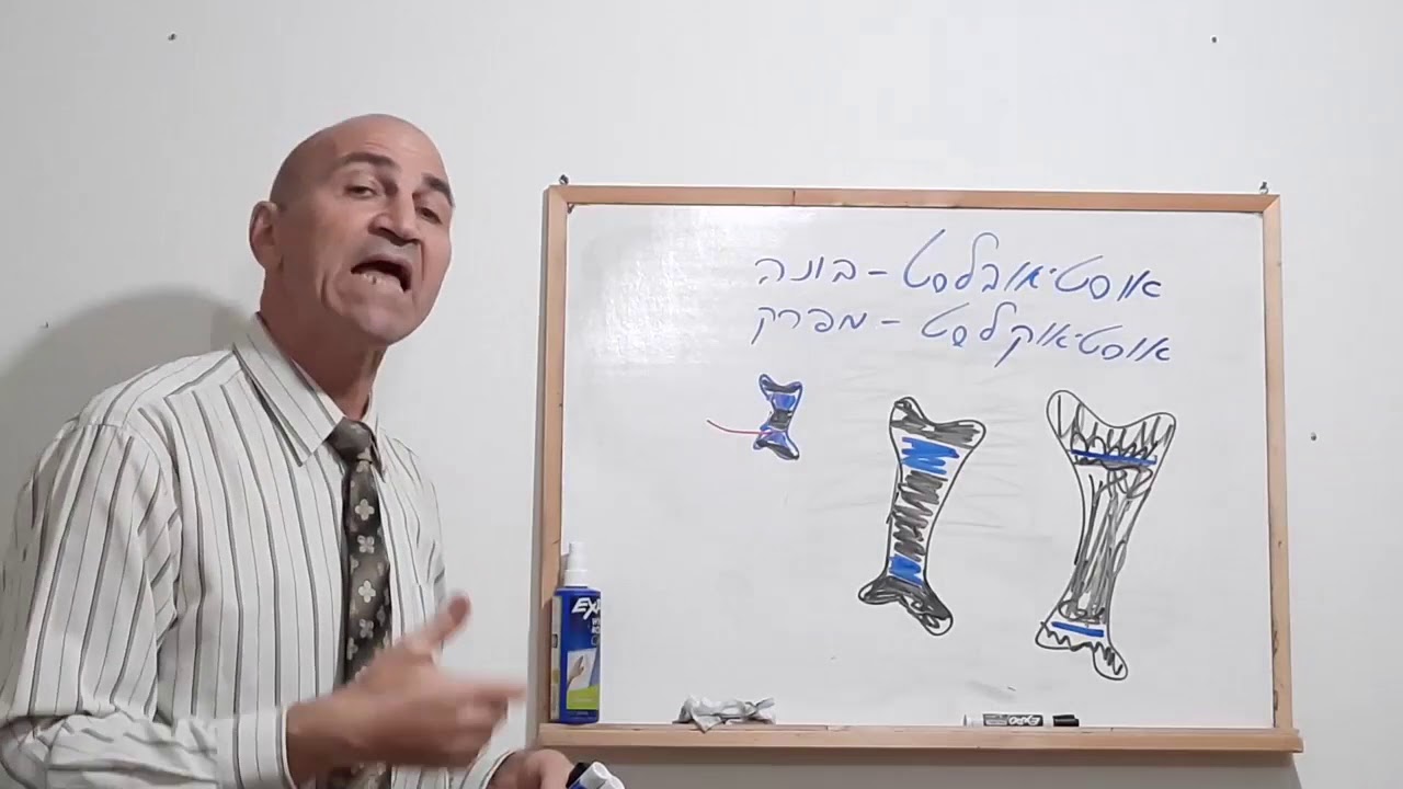 אנטומיה 1 -  חלק ב