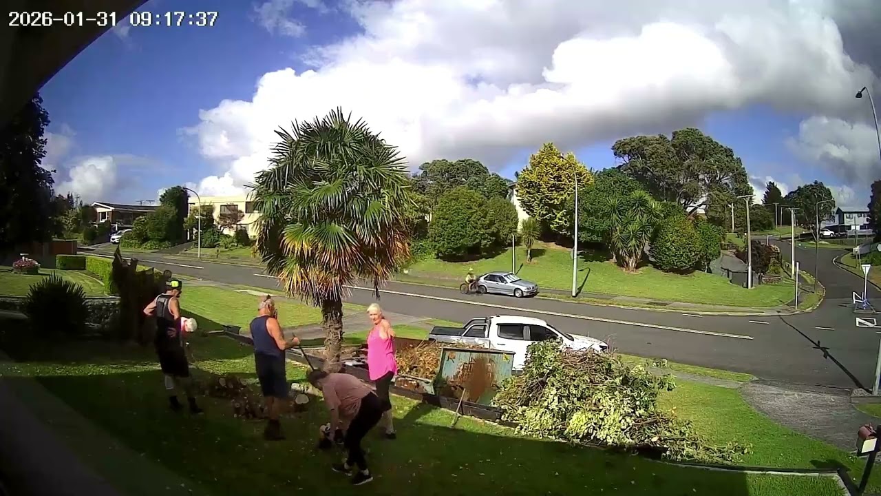 Clearing Trees.