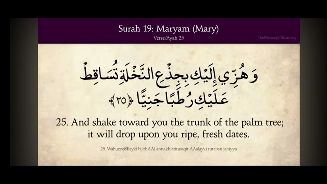 Quran 19 Surat Maryam (Mary) Arabic and English translation