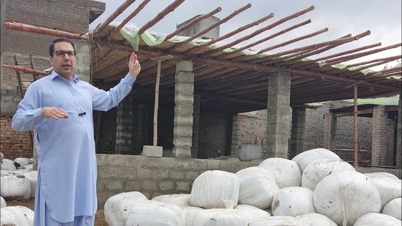 75 - Constructing The Cheapest Cattle Shed