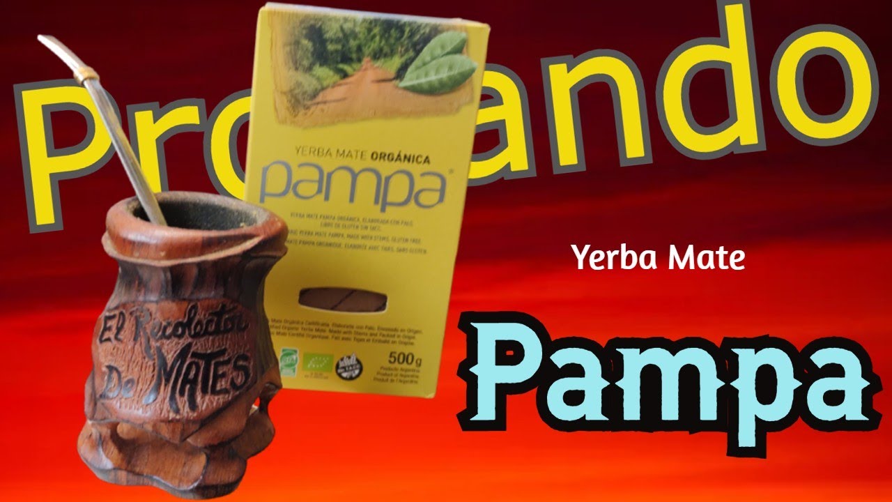 Probando Yerba Mate Orgánica Pampa
