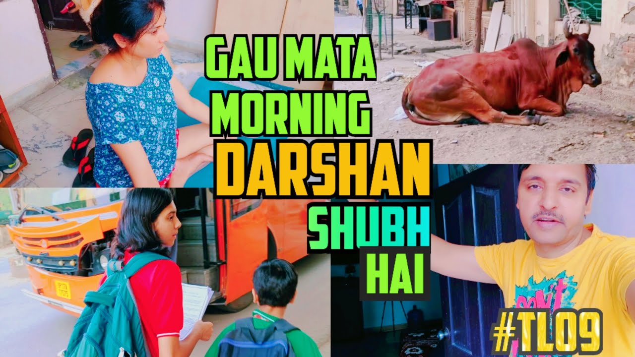 Gau mata morning darshan shubh hai 