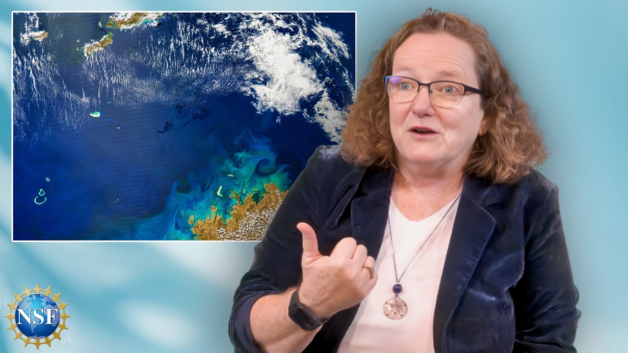 Studying the Ocean | EXPLAINED | Oceanographer Lisa Clough