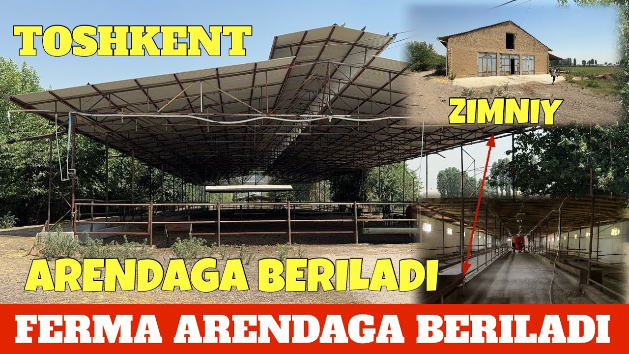 KOTTA FERMA ARENDAGA BERILADI ROXATDA SHAROITI ZO'R SUV GAZ SVET BOR. EGALARI BILAN KELISHASIZ.