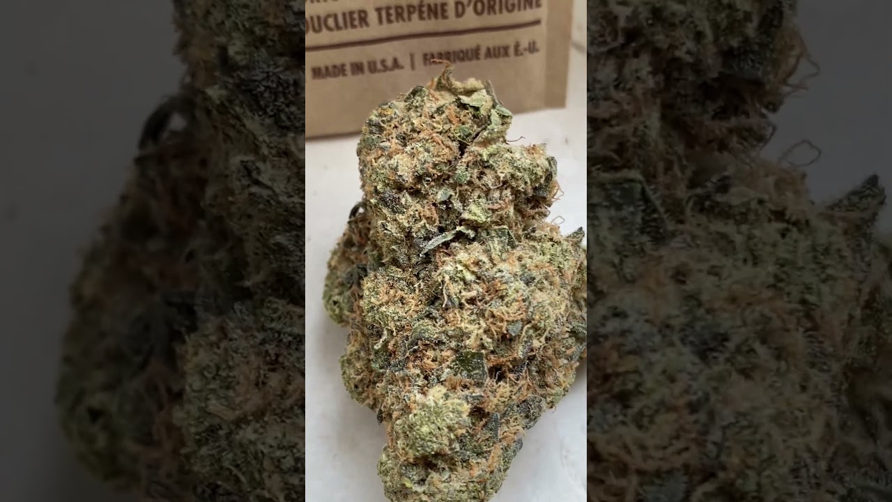 VenomZ Eve..Cannamedical..CannaZen