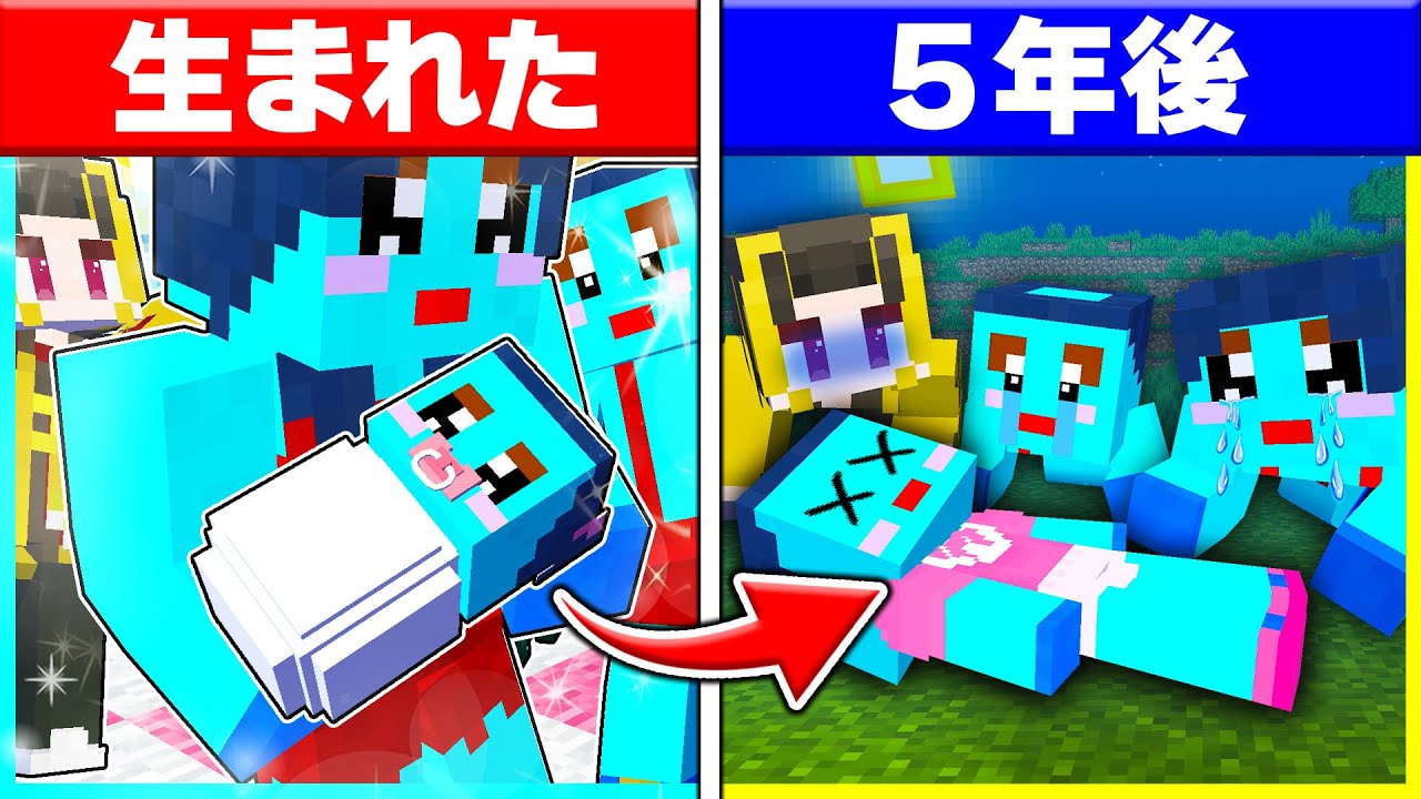 新しい家族「妹のけなこ」が生まれてから死ぬまで...【まいくら/マインクラフト】【まとめ】