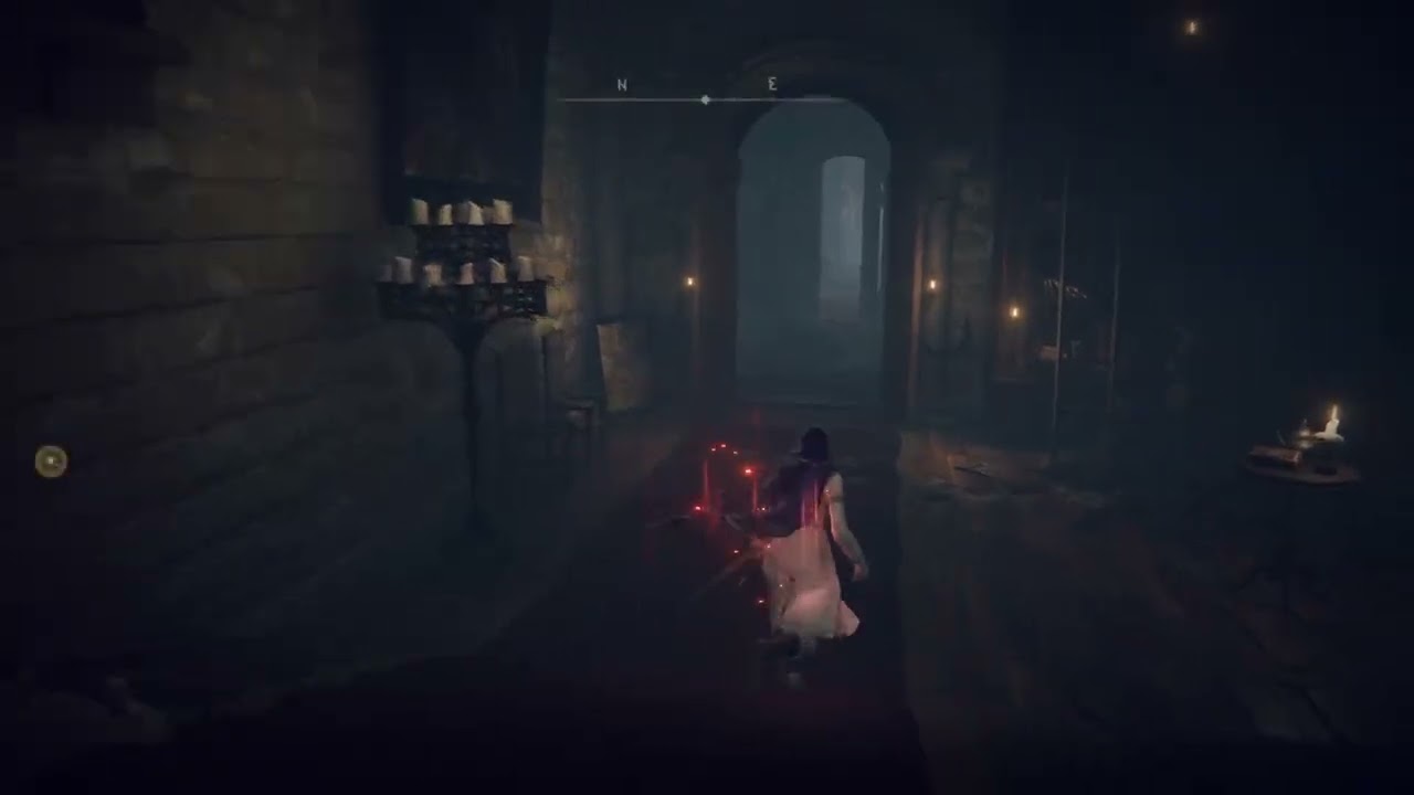 2/11 レディちゃん