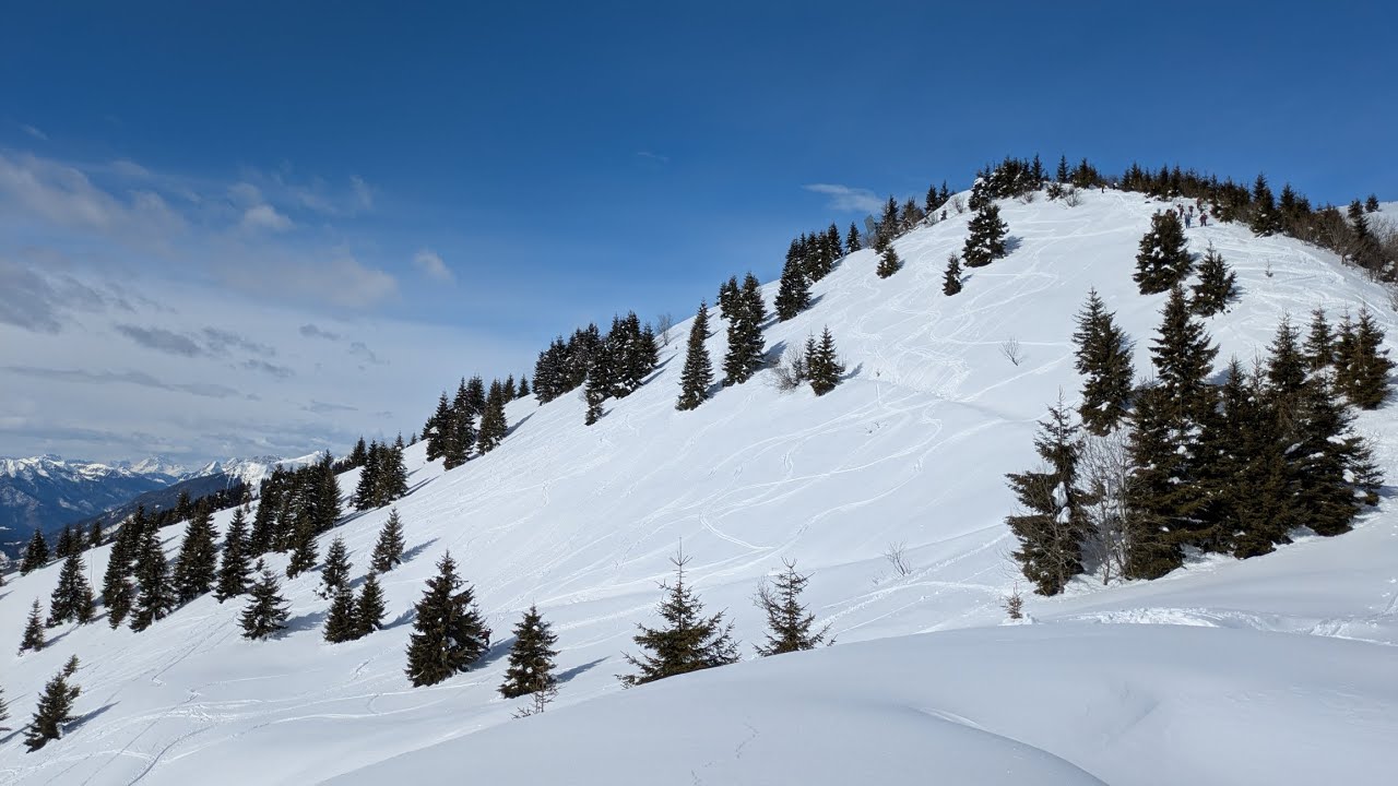 21 febbraio 2026 - Valdajer 