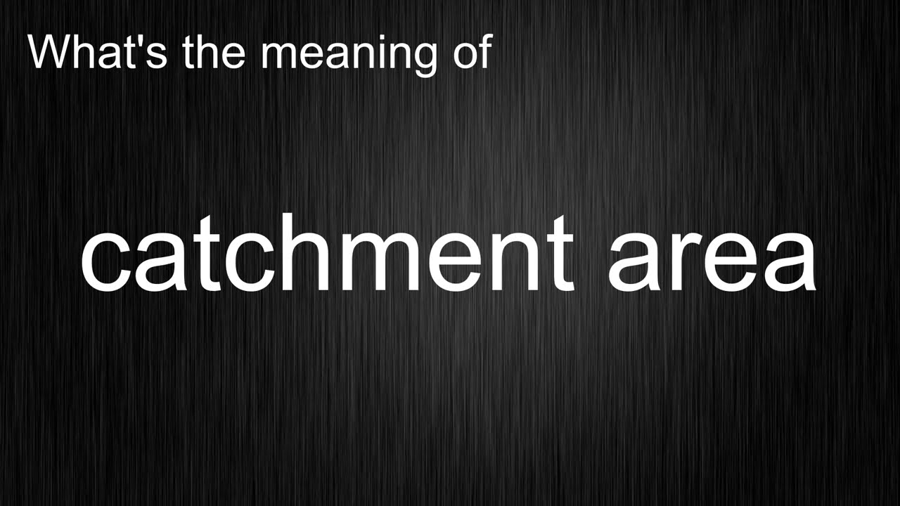 What's the meaning of 