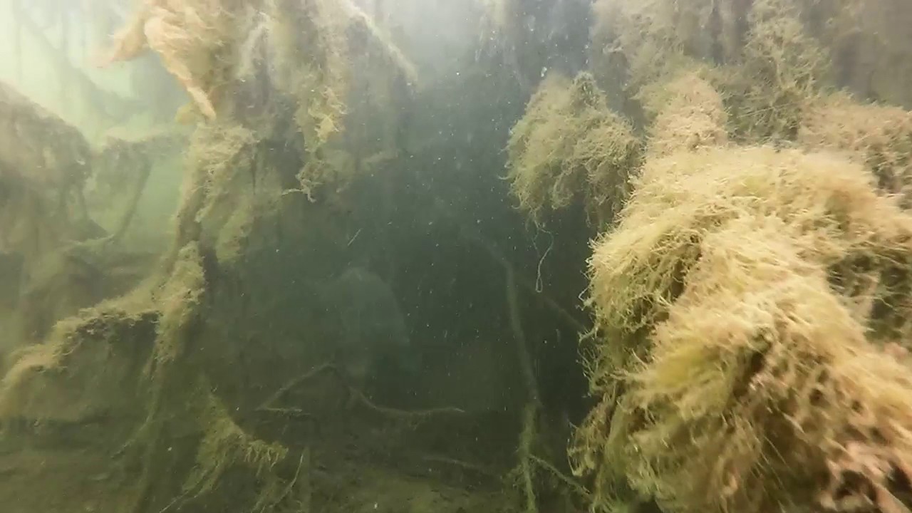 Majestic Pool underwater filming,  WHAT LIES BENEATH