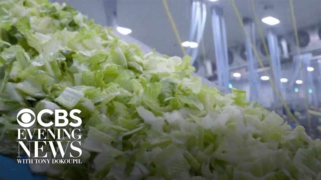 Taylor Farms reportedly shut down Mexican processing facility linked to cyclospora outbreak