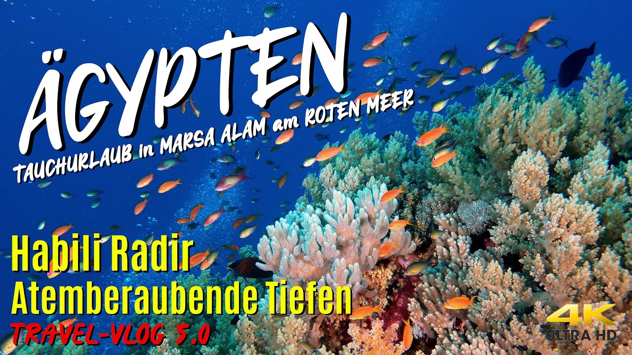 Tauchen in ÄGYPTEN - Habili Radir 
