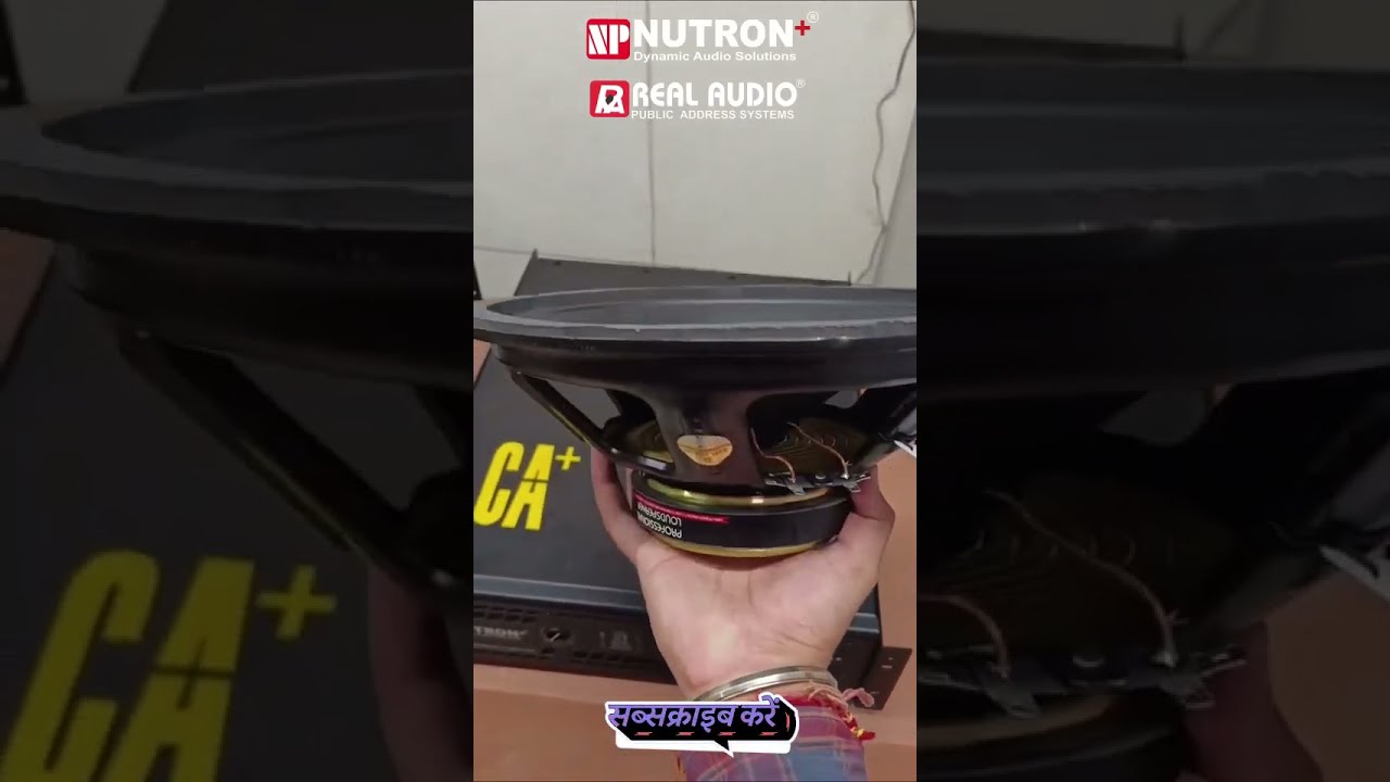 Real Audio speaker