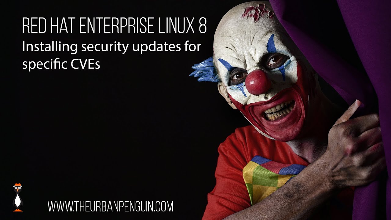 Install and List Red Hat Enterprise Linux Security Updates and CVEs