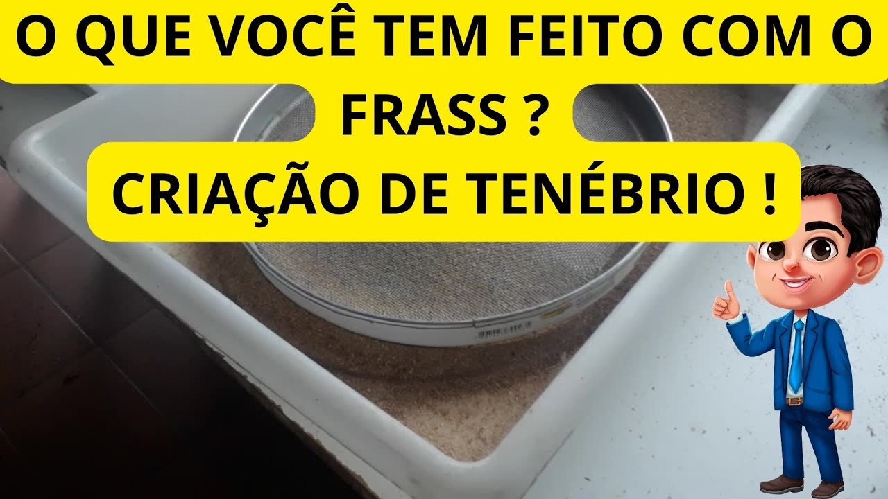 O QUE VOCÊ FAZ COM FRASS ? CRIAÇÃO DE TENÉBRIO !