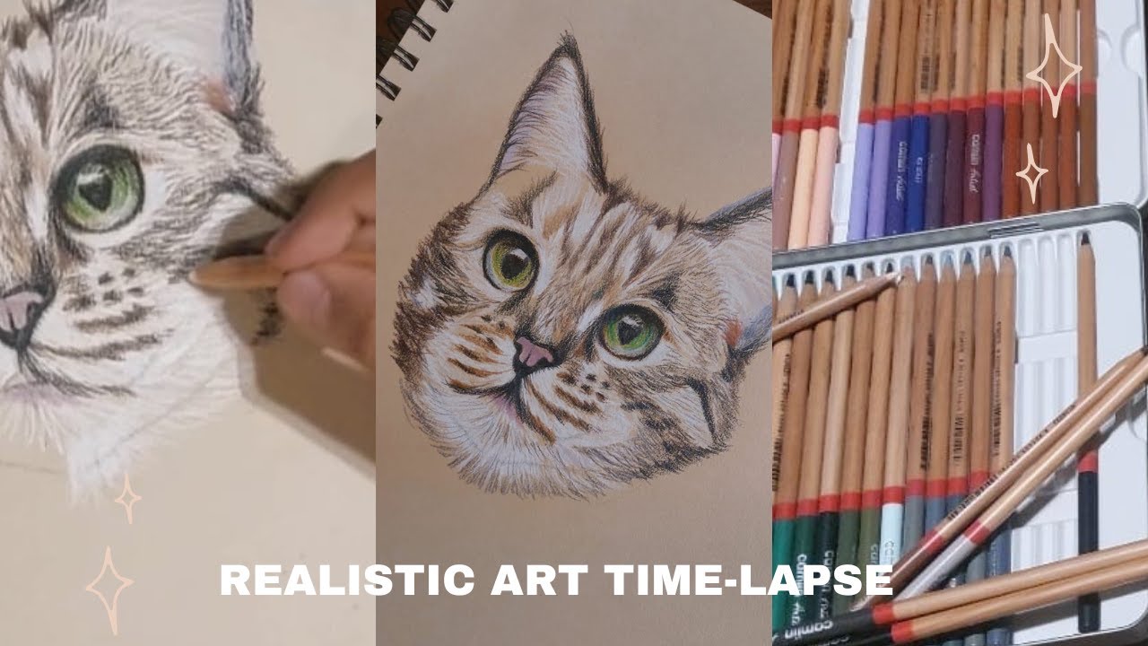 Drawing realistic cat face using Camlin colour pencils - Timelapse Video