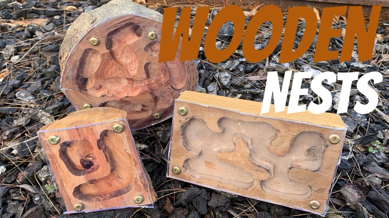 Wooden Ant Farm! DIY, Tutorial