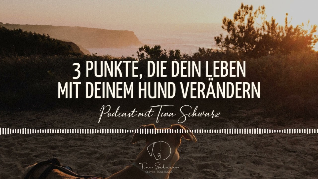 Podcast #175: 3 Punkte, die dein Leben mit deinem Hund verändern