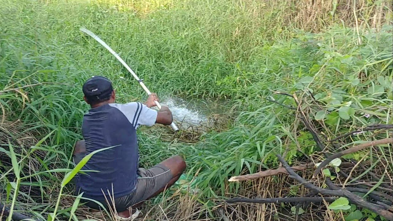 Fishing | Amazing catching rohu fishes & rupchanda fish | Awesome fishing video