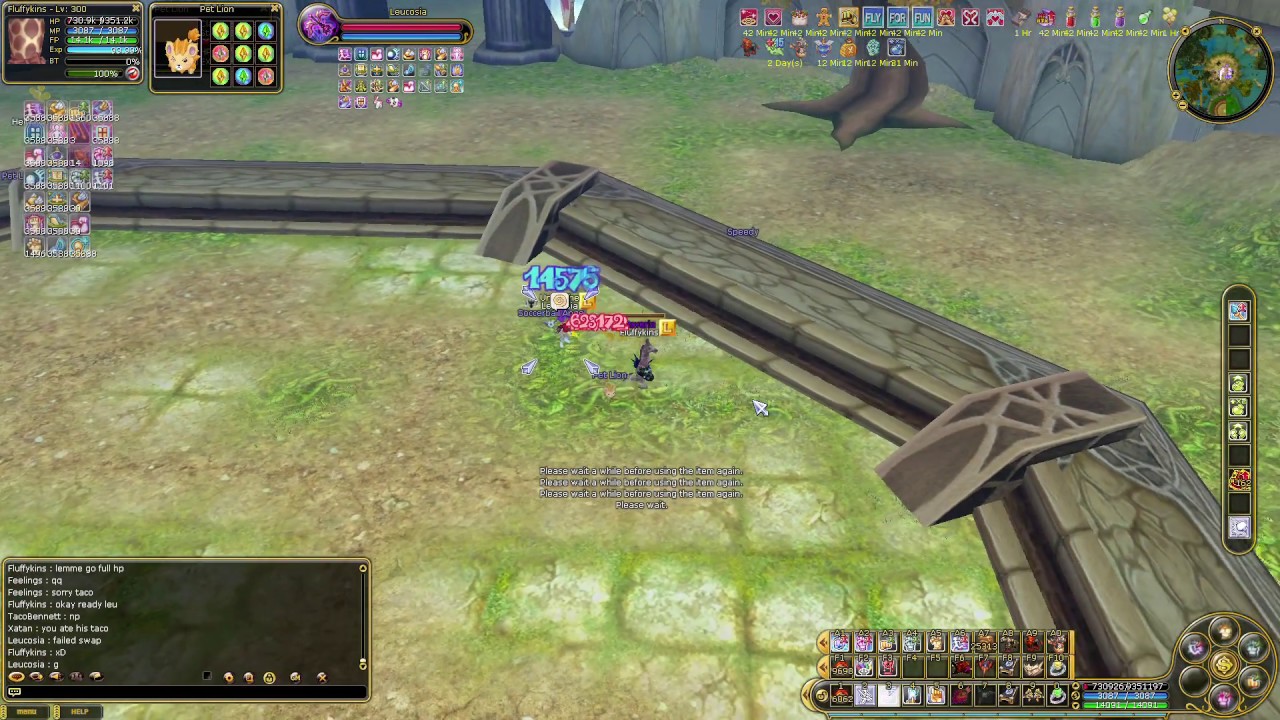 Insanity Flyff Adoch FM PvP