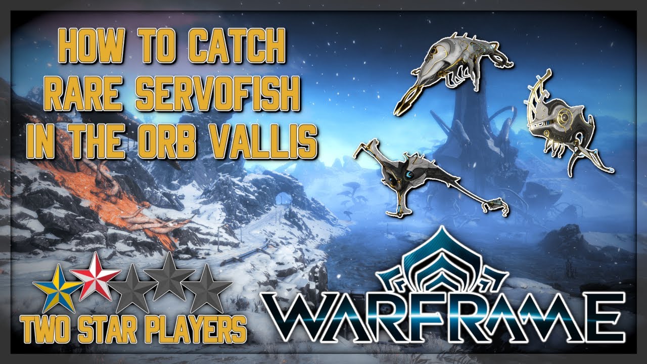 How To Catch Rare Servofish in the Orb Vallis | Warframe Glassmaker Weekly
