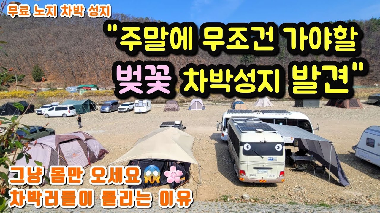 주말에 무조건 가야할 벚꽃 차박성지.여기 아직 무료입니다.차박러들이 몰리는 이유.그냥 몸만 오세요.이제까지 이런 무료 캠핑지는 처음 봅니다