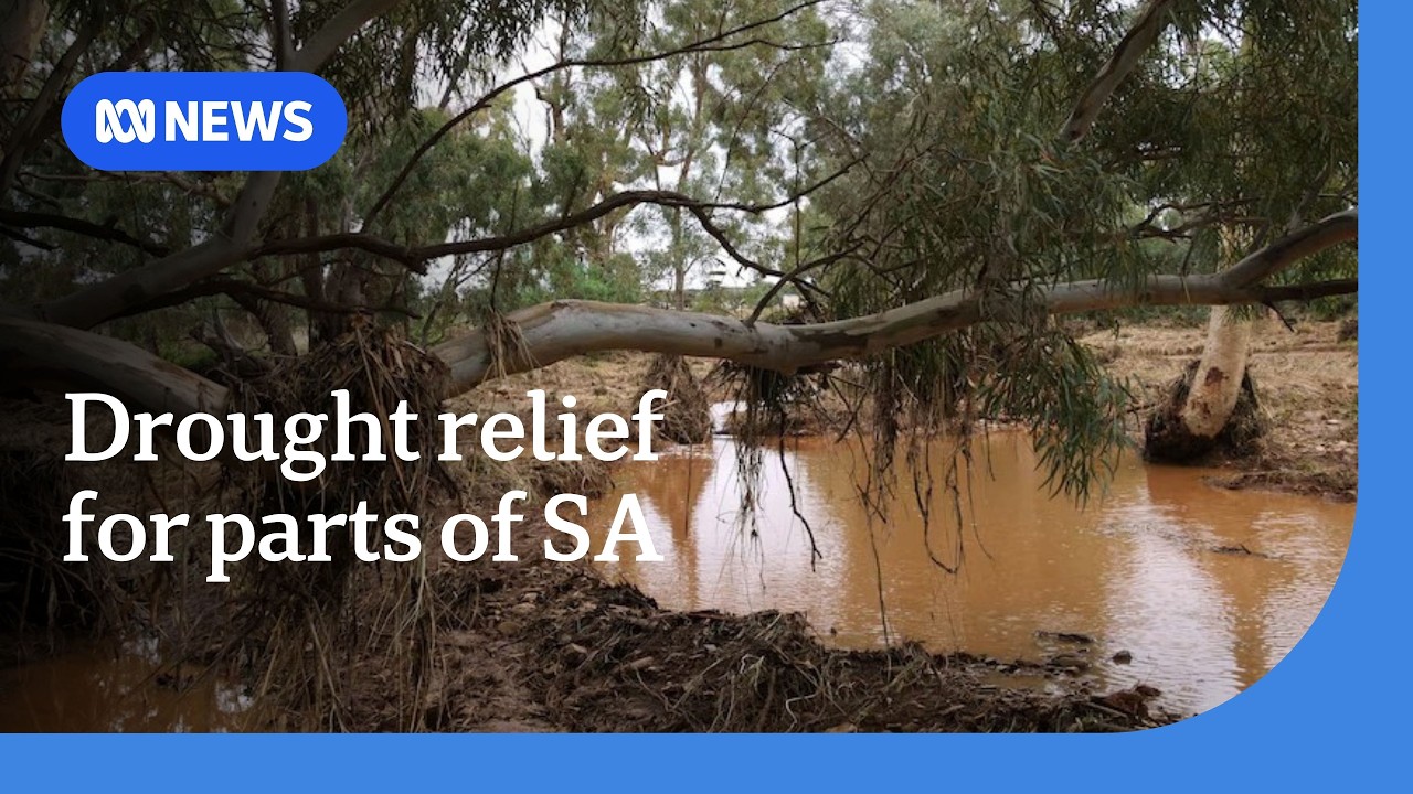 Rainfall has inundated SA's worst-hit regions, but is this the end of the drought? | ABC NEWS