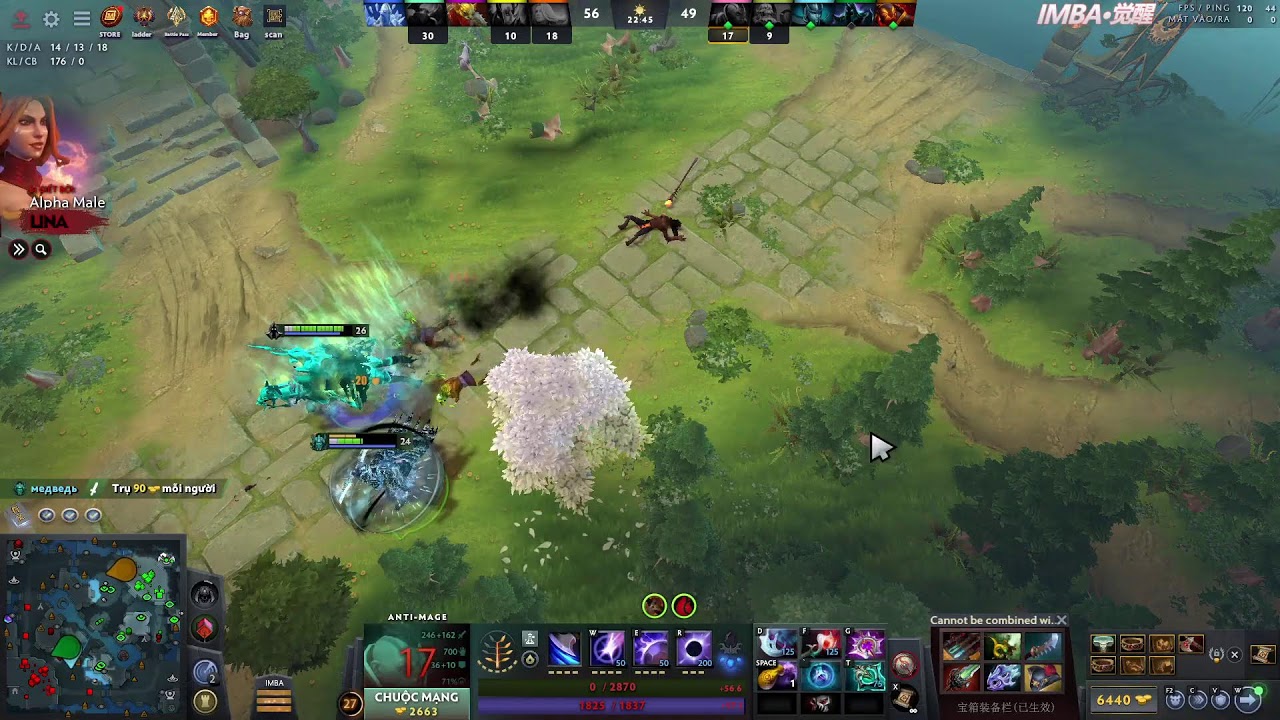 Dota 2 Việt hóa - 14