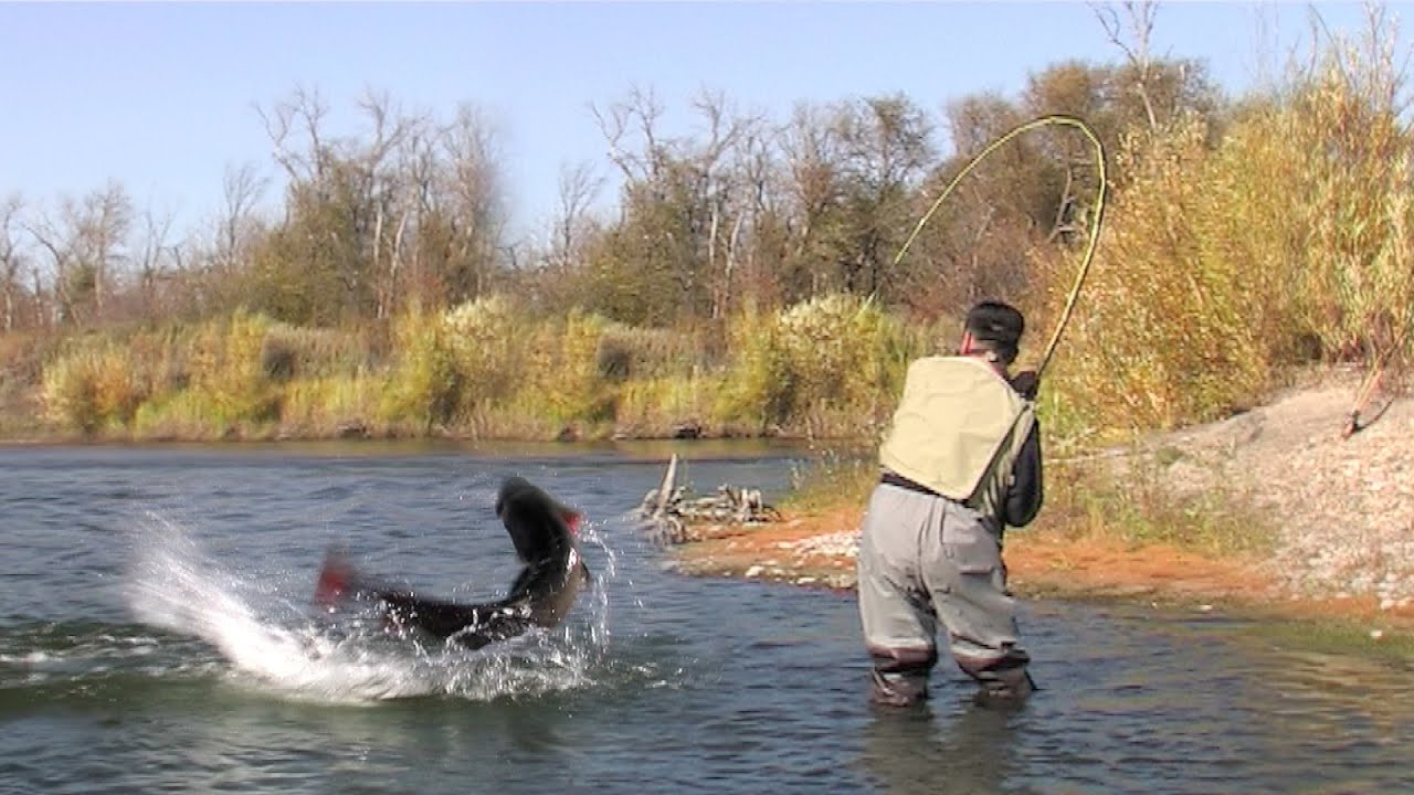 Pecanje tajmena u Mongoliji - Ekspedicija Mongolija - Reka Halhin I deo | Fishing big taimen