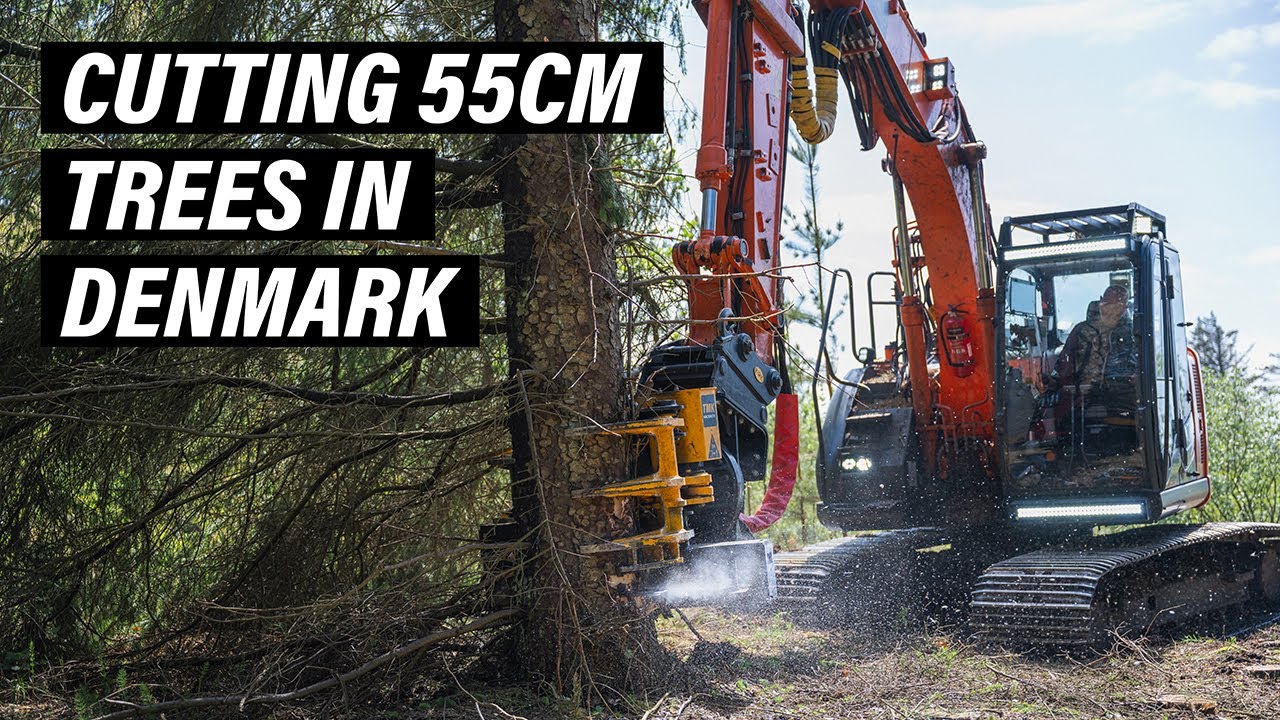 Hitachi with TMK Grapple Saw cutting Lodgepole Pines in Denmark