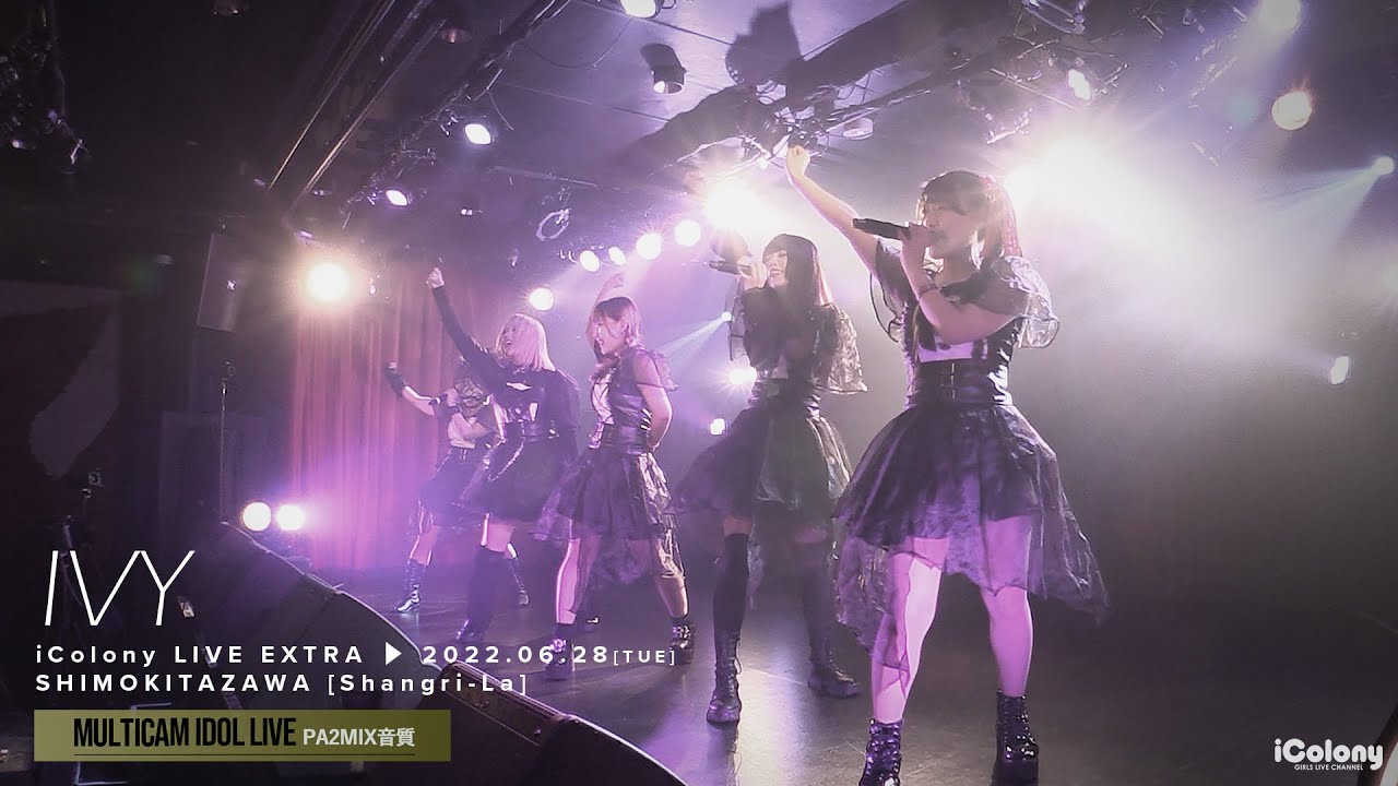 IVY [ 2022.06.28 ＠ 下北沢シャングリラ ]
