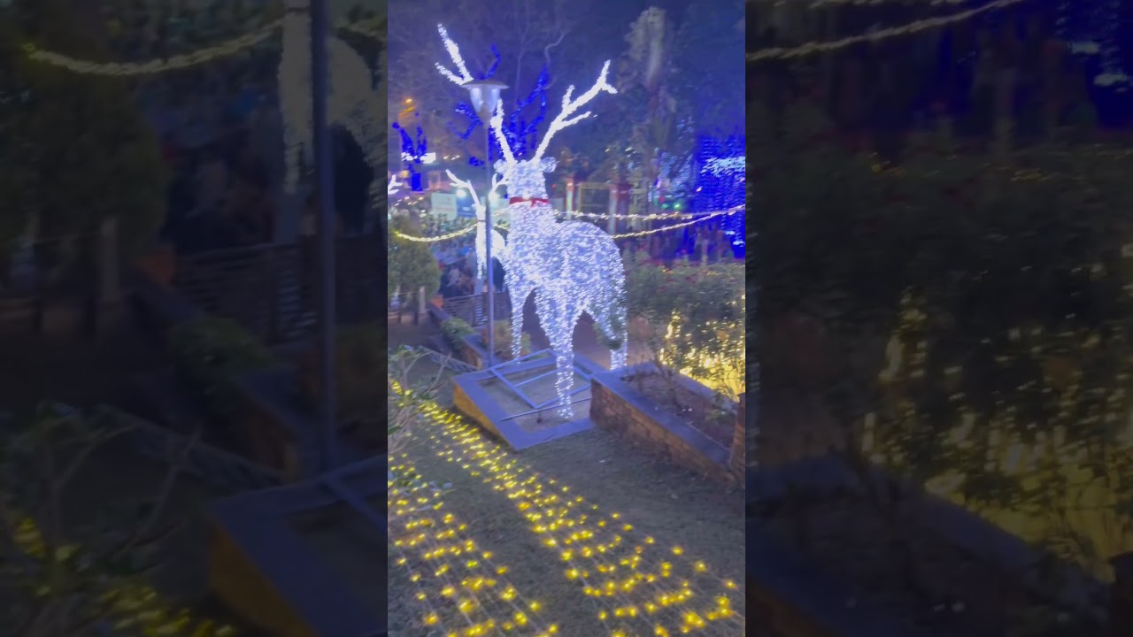 Vasantolsavam in Trivandrum | Kerala Festival Lights, Culture & Evening Vibes