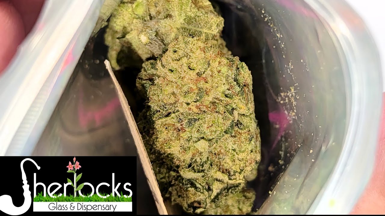 Exclusive First Look: Darkwood THCa | Sherlock&rsquo;s Glass x Seedsofkismet Collab💎🔥