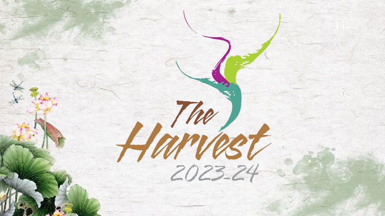VIKASH HARVEST 2023