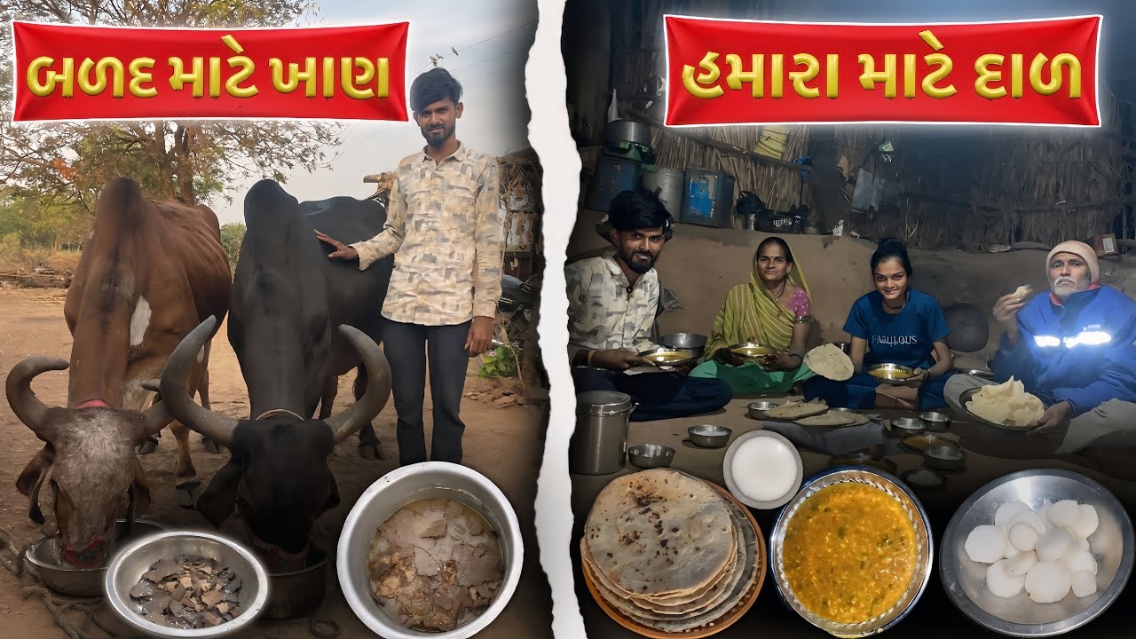 હમારા માટે દાળ 😋 | બળદ માટે ખાળ 😍 | ગામડા નું જીવન | Village Life | Deshi Vlogs | Shantibaraiyavlogs