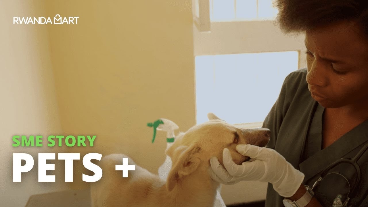 E085 | Pets +: Your Trusted Pet Care Services in Rwanda | Vets, Training, and More.