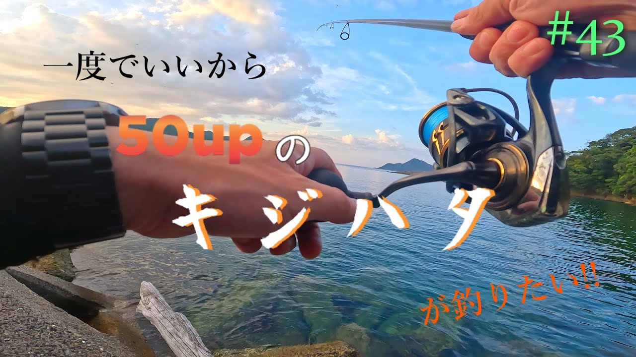 【キジハタの、季節】一度でいいから50upのキジハタが釣りたい!!#43【ロックフィッシュ】SEASON4
