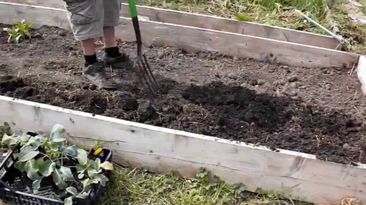 S2R Allotment