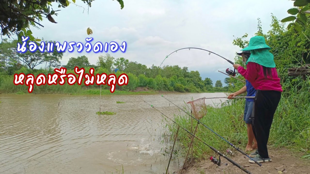 หลุดไม่หลุด อยู่ไม่อยู่ งานนี้น้องแพรววัดเองอัดเอง ตกปลาหน้าดิน ปิคนิค/ ตุ้มแพรว พาเพลิน EP.687