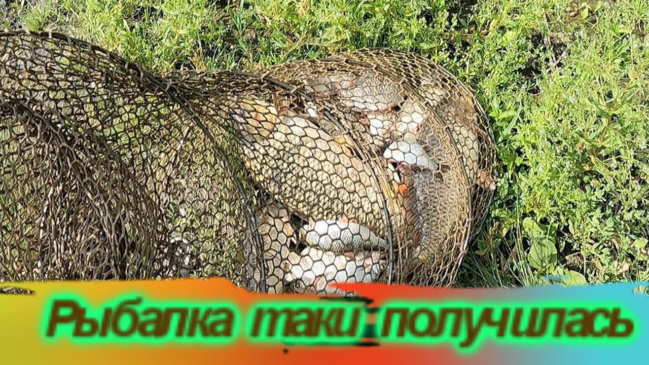 если долго мучится , что нибудь получится /Днестр /Маяки / 17-18 июня 2023