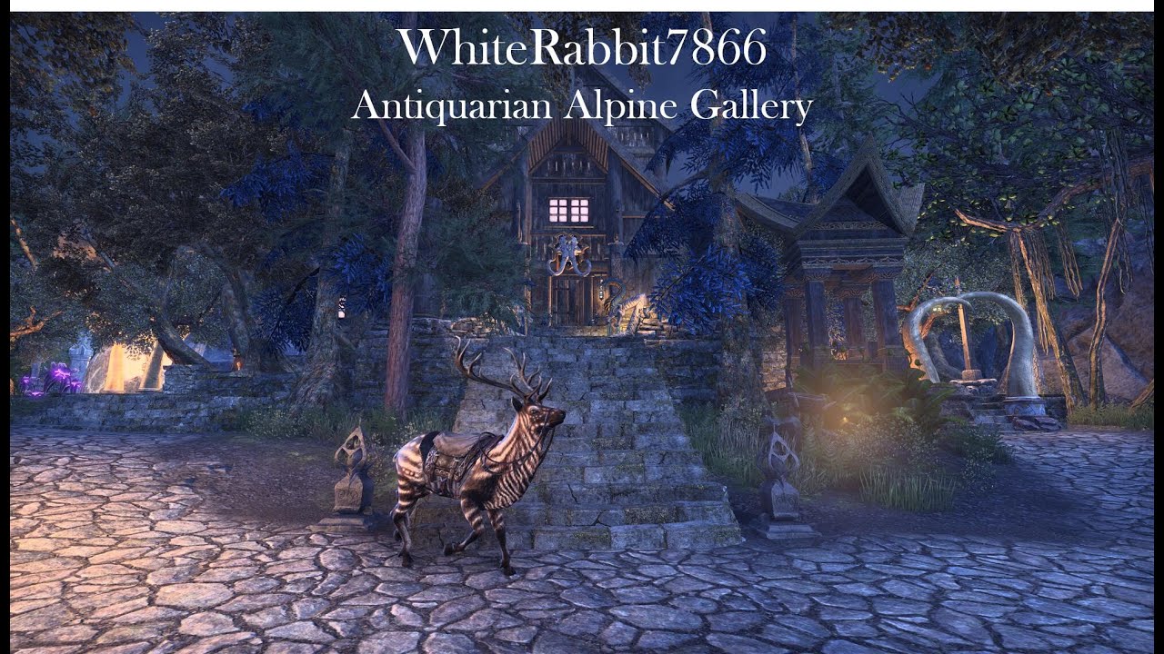 WhiteRabbit7866 Antiquarian Alpine Gallery Dec 2022