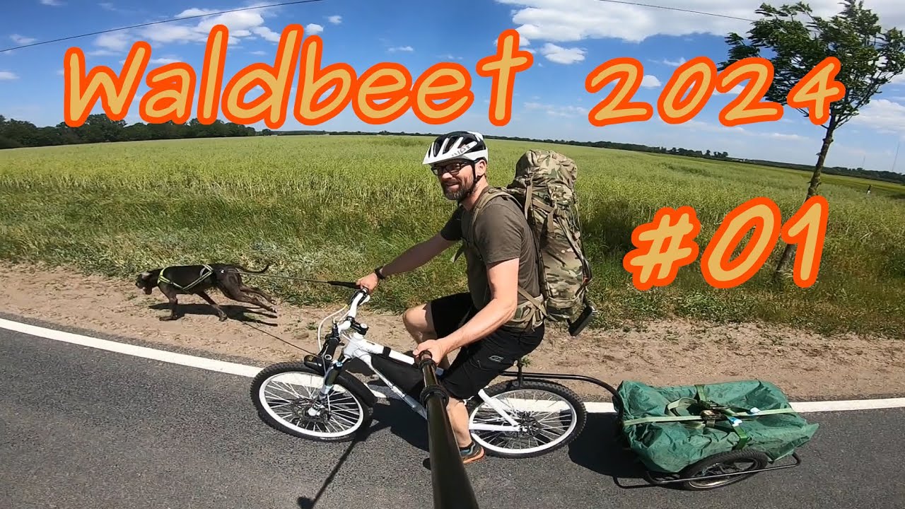 Mein Waldbeet 2024 - Teil 1 Pflanzenkauf